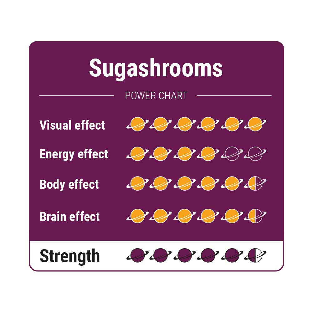 SugaShrooms Magic Truffels - Afbeelding 2
