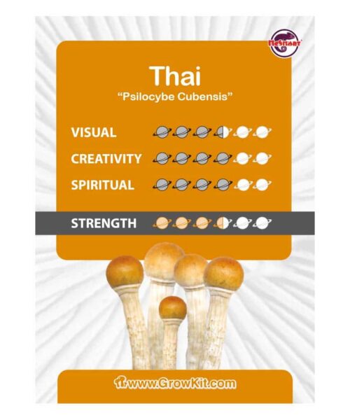 Alternative view of Thai Paddo’s Kweekset